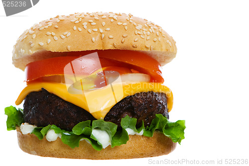 Image of Cheese burger