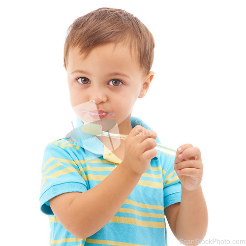 Image of Portrait, boy and kid brushing teeth in studio for hygiene, learning healthy oral habits and care on white background. Young child, toothbrush and toothpaste for dental cleaning, fresh breath or gums