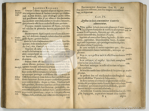 Image of Antique book and pages with vintage, research and manuscript with paper, medical texts and history. Encyclopedia, volume lexicon and learning with archive, education and journal with literature