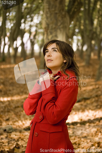 Image of Autumn Beauty