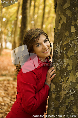 Image of Autumn Beauty