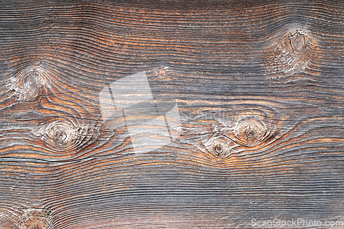 Image of detailed texture of real spruce plank