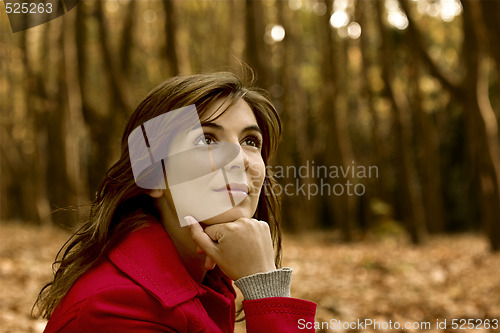 Image of Autumn Beauty