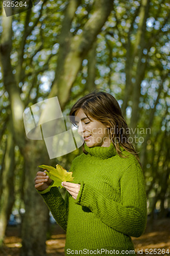Image of Autumn Beauty