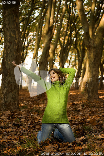 Image of Autumn Beauty