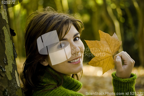 Image of Autumn Beauty