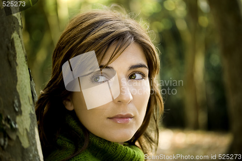 Image of Autumn Beauty