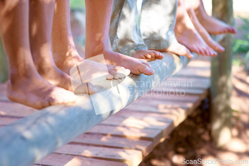 Image of Children, feet and closeup of balance on tree in nature for fun and adventure. Legs, zoom and diverse kids playing outside on wood with stability and support for development and friends bonding