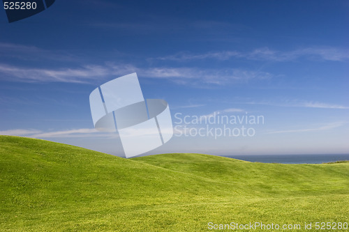 Image of Green Meadow