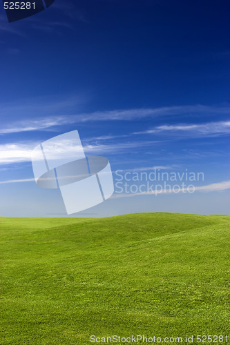 Image of Green Meadow