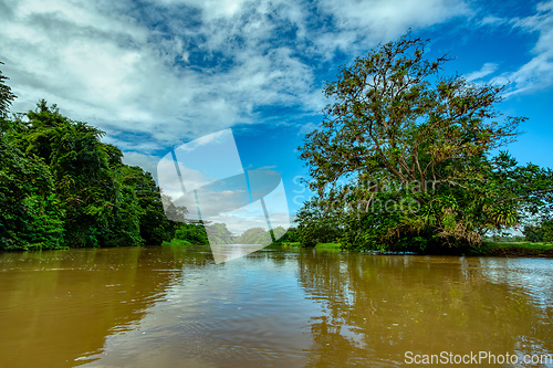 Image of Landscape of beautiful channel, Refugio de Vida Silvestre Cano Negro, Costa Rica wilderness landscape.