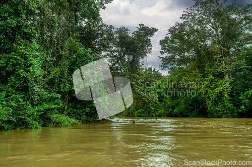 Image of Landscape of beautiful channel, Refugio de Vida Silvestre Cano Negro, Costa Rica wilderness landscape.