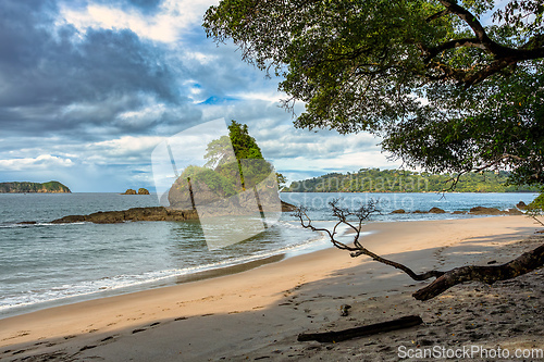 Image of Playa in Manuel Antonio National Park, Costa Rica wildlife.