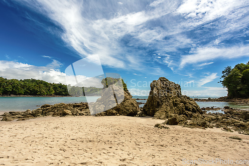 Image of Playa in Manuel Antonio National Park, Costa Rica wildlife.