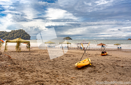 Image of Playa in Quepos, Manuel Antonio National Park, Costa Rica wildlife.