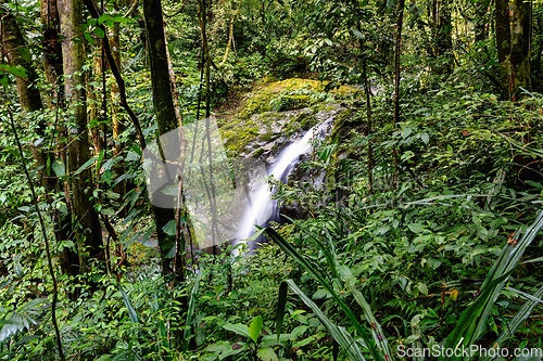 Image of Waterfall in deep forest, Manuel Antonio National Park, Costa Rica wilderness landscape