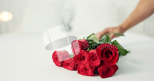 Image of Red roses, table and person hand with valentines day present and gift for love and commitment, Flowers, bouquet and floral arrangement with surprise on a bed in a home for giving for an anniversary