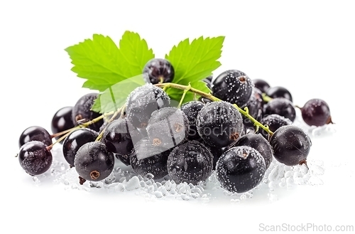 Image of Group of Black Berries With a Single Leaf on Top