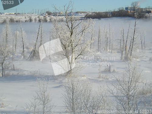 Image of January