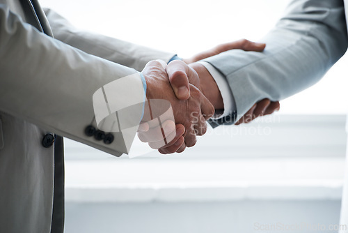 Image of Handshake, business people and agreement in partnership, onboarding and thank you for recruitment. Coworkers, closeup and deal for merger in workplace, collaboration and support in cooperation