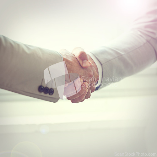 Image of Handshake, business people and agreement in partnership, meeting and thank you for recruitment. Coworkers, closeup and deal for opportunity in workplace, collaboration and support in cooperation