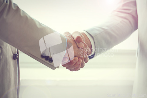 Image of Handshake, business people and agreement in partnership, networking and thank you for recruitment. Coworkers, closeup and welcome or introduction in office, collaboration and support in cooperation