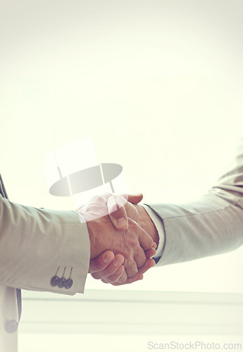 Image of Handshake, business people and agreement in partnership, introduction and thank you for recruitment. Coworkers, closeup and deal for merger in workplace, collaboration and support in cooperation