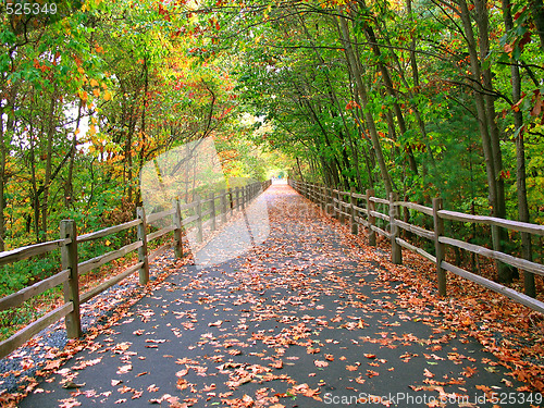 Image of long wooded trail