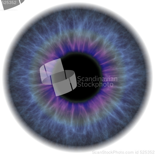 Image of Iris