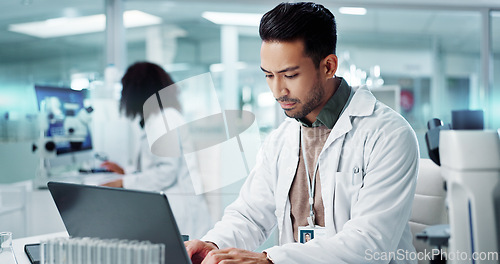 Image of Laptop, man or scientist typing to research in laboratory for a chemistry report or medical test feedback. Internet, person reading or science update for online medicine development news on website