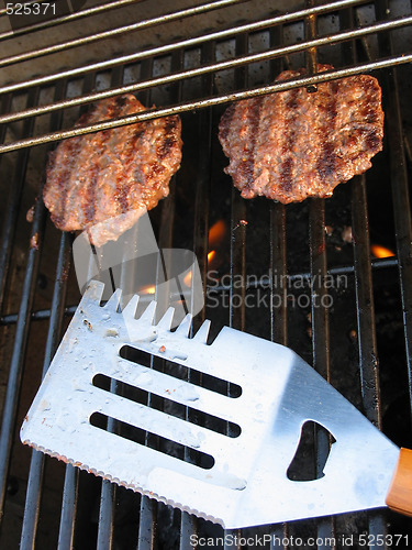 Image of Grilled Burgers
