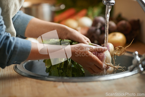 Image of Hands, sink and water to clean vegetables in kitchen, health and hygiene with chef cooking food and closeup. Turnip, nutrition and organic for meal, vegan or vegetarian with person washing produce