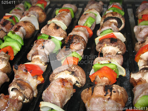 Image of Shish Kebabs on the Grill