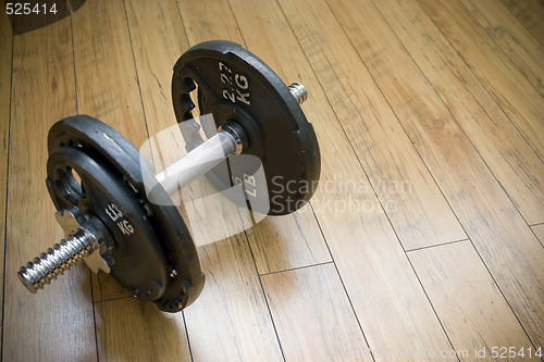 Image of Free Freight Dumbells