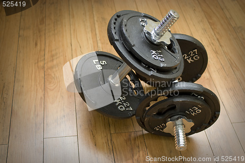 Image of Free Weight Dumbells