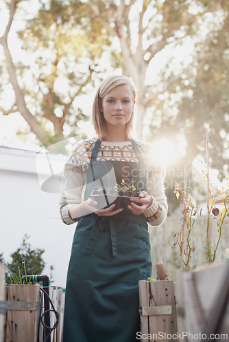 Image of Gardening, morning and portrait of woman with plants for landscaping, planting flowers and growth. Agriculture, nature and face of person outdoors for environment, ecology and nursery in garden