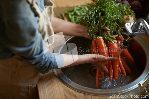 Image of Hands, carrots and washing in sink as vegetable nutrition for wellness ingredient for healthy, salad or organic. Chef, water and clean in kitchen for meal preparation with recipe, vitamins or fibre