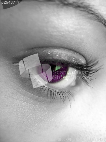 Image of Pretty Purple Eye