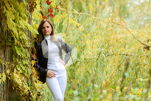 Image of A young beautiful girl leans on a wooden wall against the backdrop of an autumn forest and looks into the frame