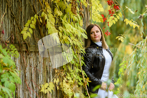 Image of A young beautiful girl leans on a wooden wall against the backdrop of an autumn forest and looks along the wall