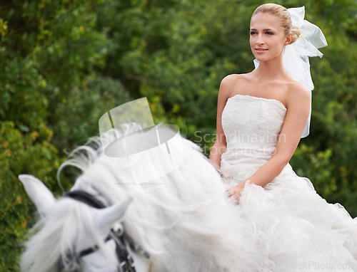 Image of Bride, woman and riding with horse outdoor or happiness for celebration, marriage and confidence in countryside. Wedding, person and stallion on lawn in field with smile, dress and animal at ceremony