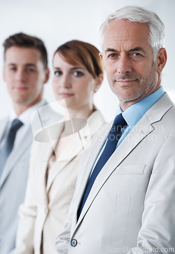 Image of Portrait of three corporate business people , standing in a row and inside of the boardroom . Smiling friendly group of three business partners of different age private company staff posing