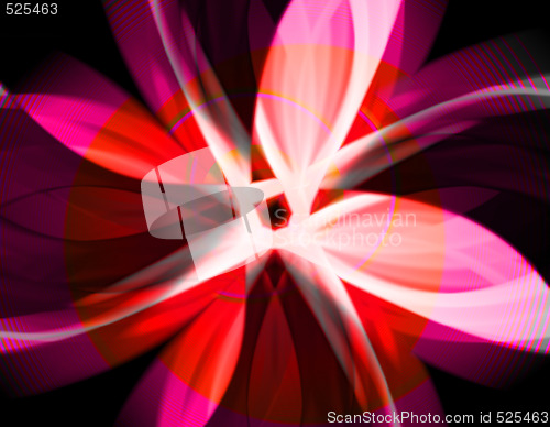 Image of Flower Abstract