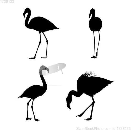 Image of Flamingo Silhouette Set