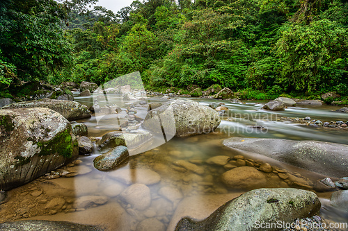 Image of The Orosi River, Tapanti - Cerro de la Muerte Massif National Park