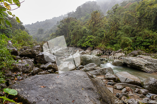 Image of The Orosi River, Tapanti - Cerro de la Muerte Massif National Park