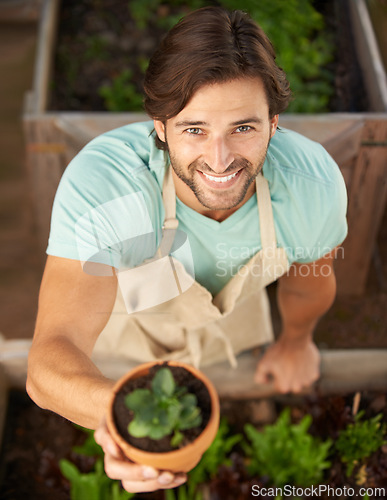 Image of Man, smile and plant from above for gift, appreciation or sale at store from high angle. Male gardener, happy and holding greenery in pot for decoration, growth or cultivation in nursery shop