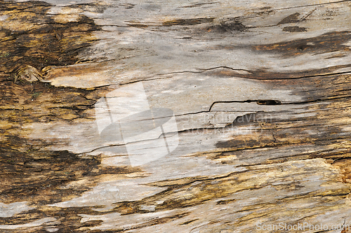 Image of Aged wooden planks showcasing natural weathered textures and pat