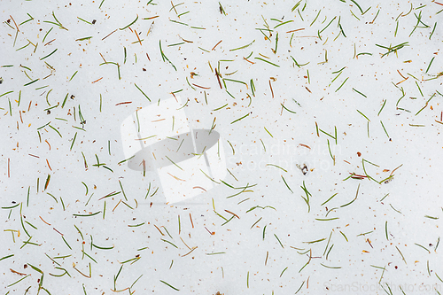 Image of Freshly fallen snow blanketed with scattered pine needles during