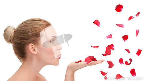 Image of Woman, studio and blow with rose petals in profile for natural beauty, skincare or wellness by white background. Girl, model or person with flowers for celebration, organic confetti or Valentines Day